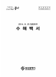 2014.8.25 집중호우 수해백서